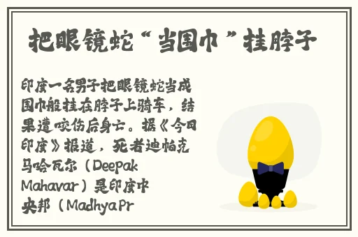韵母攻略流浪法师续写